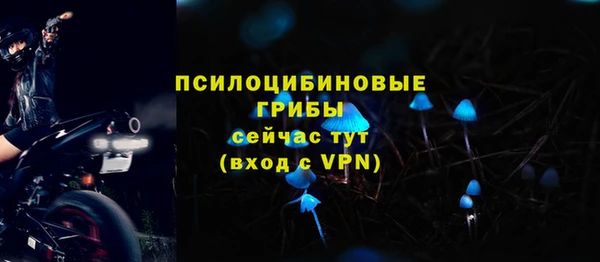 дмт Армянск