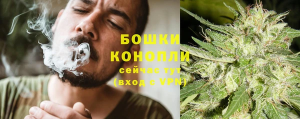 гидра Арсеньев