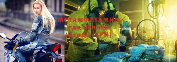 прущие грибы Горняк