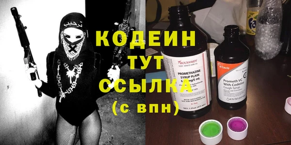 гидра Арсеньев