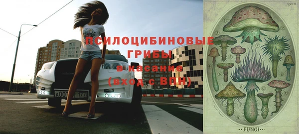 дживик Горнозаводск