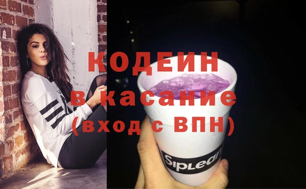 гидра Арсеньев